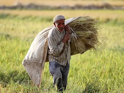 بازنشستگانی که ۲ میلیون تومان حقوق می‌گیرند!