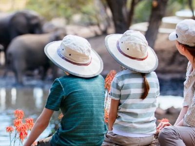 آفریقا پیشتاز شد؛ اروپا به صدر آمد