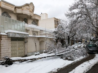 ۴۰۰ مورد سقوط درخت از روز نخست بارش در مشهد