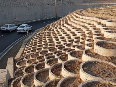 پیشرفت ۶۰ درصدی پروژه احداث فضای سبز