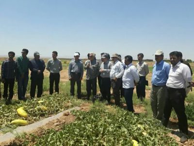 افزایش ۱۲ درصدی آموزشهای تخصصی کشاورزان در خراسان رضوی