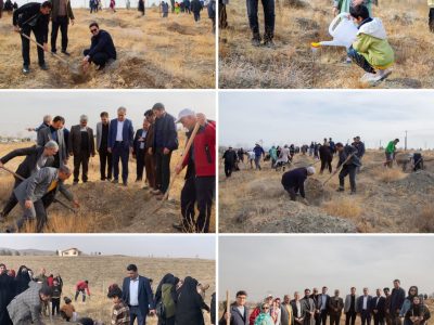 پویش کاشت ۷ هزار نهال مادرانه در خراسان رضوی