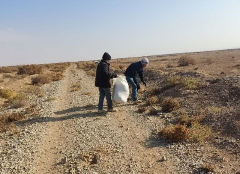 توجه به توسعه کشت گیاهان شور پسند،ظرفیتی پایدار