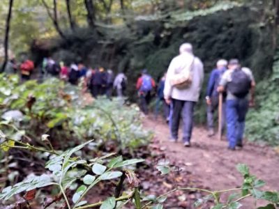 برگزاری پویش ملی «چهار + جمعه»