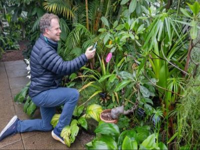 گفتگو با گیاهان با کمک هوش مصنوعی