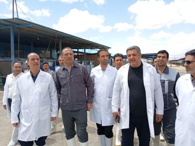 بازدید میدانی از گاوداری صنعتی ۳۰۰۰ راسی در تربت حیدریه