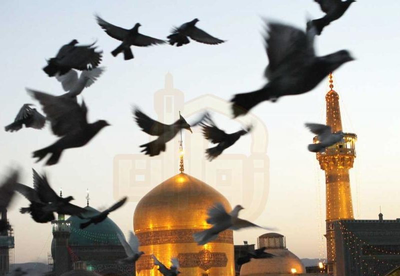 با ما بیا به پابوس