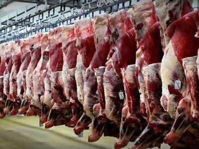 هیچ مجوزی برای کشتار و عرضه گوشت اسب، قاطر و الاغ صادر نشده است